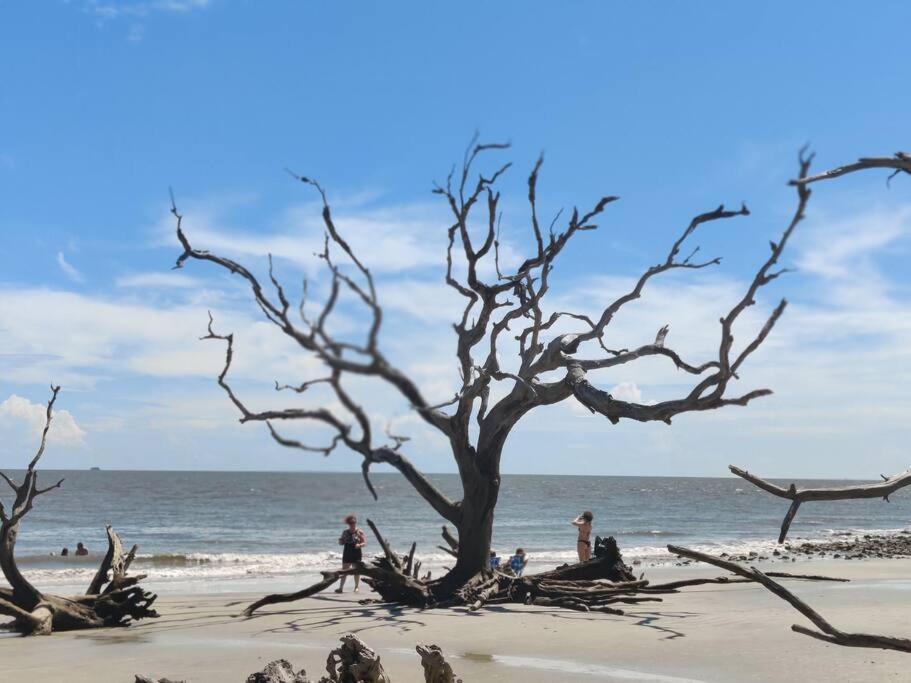 Jekyll Island House/ Kellys On The Coast /King Bed Villa Eksteriør bilde